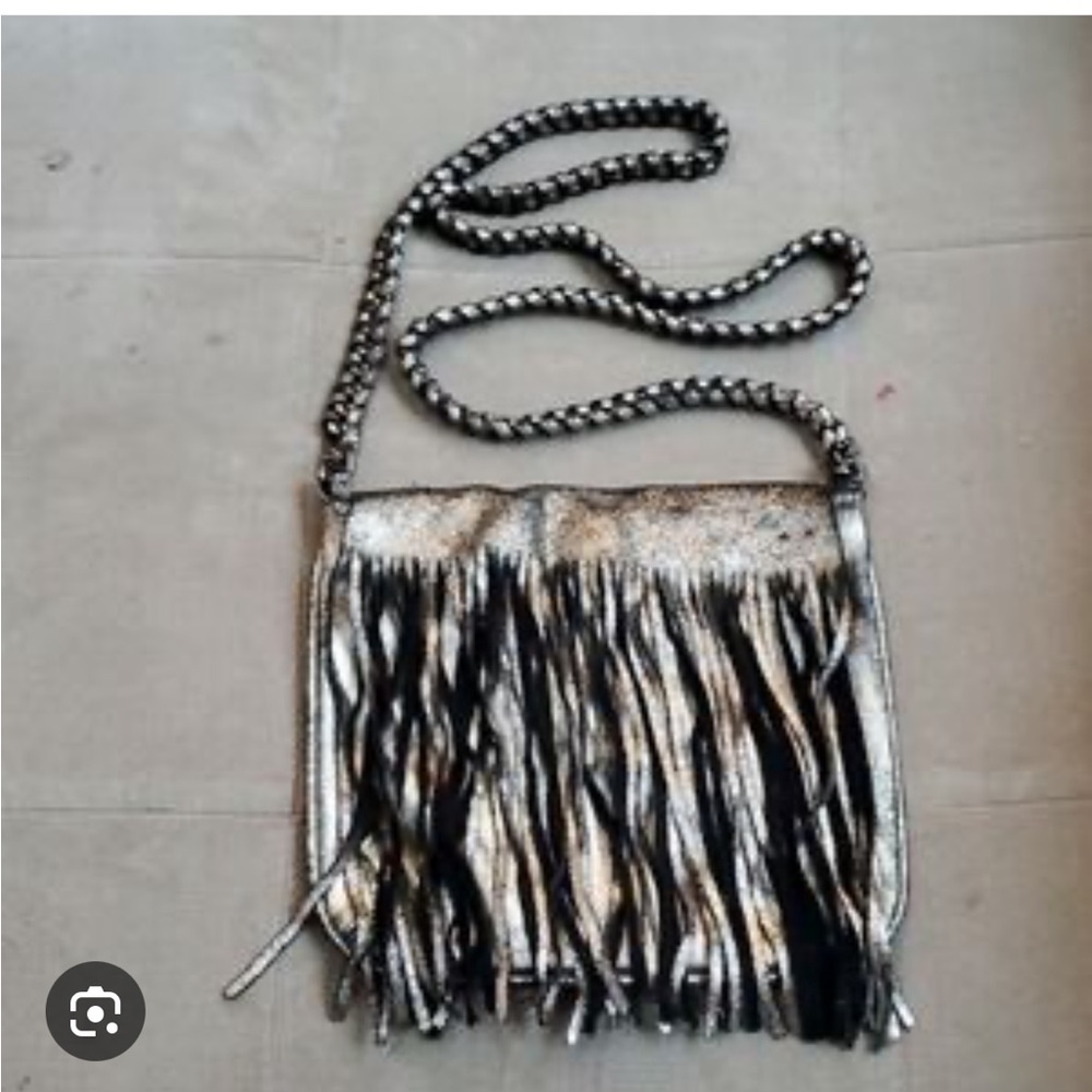Zara Metallic Fringe Crossbody Purse